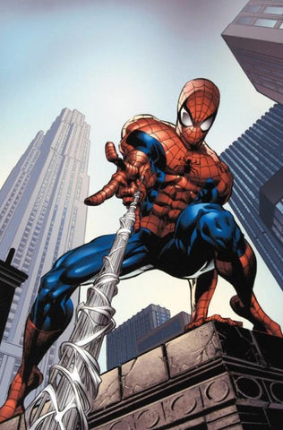 Amazing Spider-Man #520 - By Mike Deodato Jr. - Limited Edition Giclée on Canvas