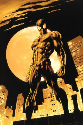Amazing Spider-Man #528 - By Mike Deodato Jr. - Limited Edition Giclée on Canvas