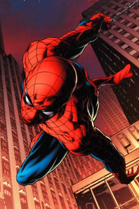 Amazing Spider-Man #641 - By Joe Quesada - Limited Edition Giclée on Canvas