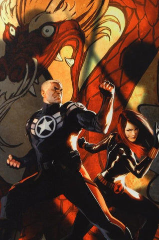 Secret Avengers #6 - By Marko Djurdjevic - Limited Edition Giclée on Canvas