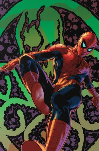 Amazing Spider-Man #524 - By Mike Deodato Jr. - Limited Edition Giclée on Canvas