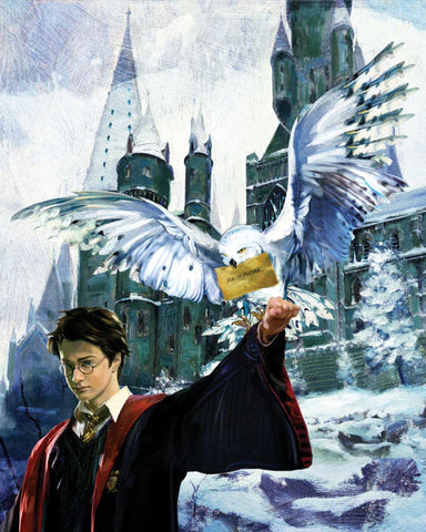 Harry and Hedwig- By Jim Salvati - Giclée on Paper