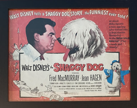The Shaggy Dog - Original Lobby Card Framed