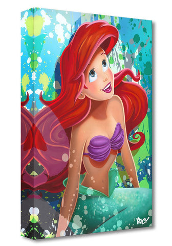 The Little Mermaid by ARCY featuring Ariel